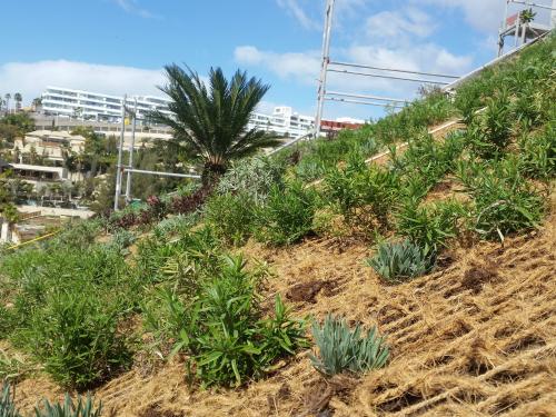 Pitched green roof with nets made of coconut fibres